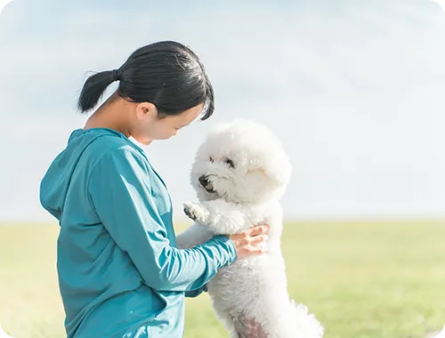 犬と飼い主