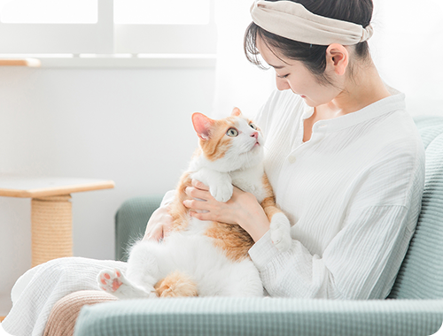 猫と見つめ合う女性